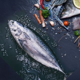 Cá ngừ bông tươi, 0.4-1.5 kg