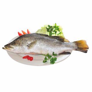 Cá chẽm làm sạch, 0.8-1.4 kg/con