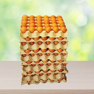 Trứng gà tươi QL số 4, cây 300 quả, 52g 