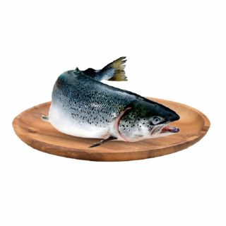 Cá hồi nhập khẩu tươi, 6-7 kg