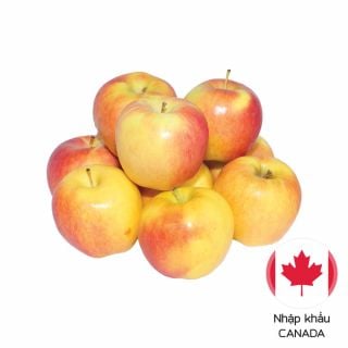 Táo Ambro nhập khẩu xuất xứ Canada, big size