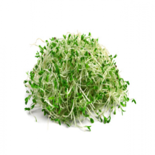 Rau mầm Alfalfa Broccoli, 125g