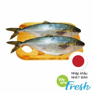 Cá cam nhập khẩu We Are Fresh xuất xứ Nhật Bản, 0.5kg trở lên