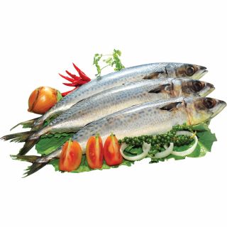 Cá saba nhập khẩu We Are Fresh, 0.3-0.6 kg/con