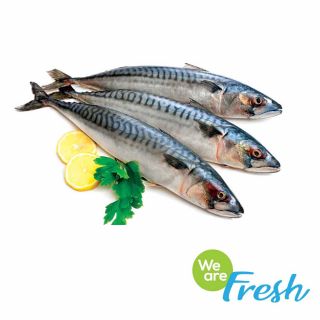 Cá saba đông lạnh nhập khẩu We Are Fresh, 0.5kg trở lên