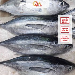 Cá ngừ bò - Việt Nam - khay 1kg