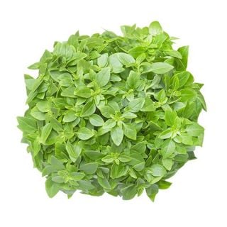 Quế tây nhỏ Đà Lạt We Are Fresh, 100g