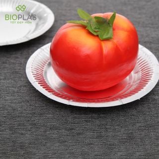 Bio Đĩa giấy bạc 14cm (10 cái/gói)